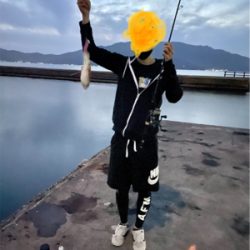 今シーズン初コウイカ