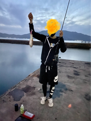 今シーズン初コウイカ