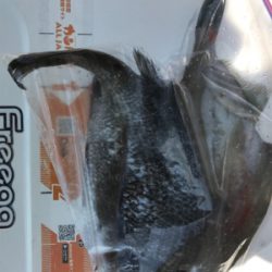 尾道周辺でまったりフカセ