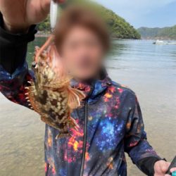 癒やしのカサゴ釣り