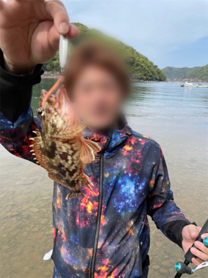 癒やしのカサゴ釣り