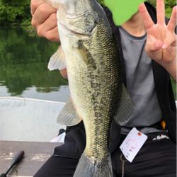 今シーズン最初の桜池