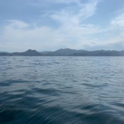 マイボートでアコウ狙い