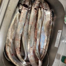 爆風前の短時間釣行