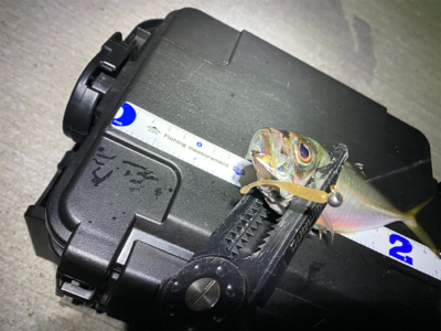 強風で満月の中でのアジング