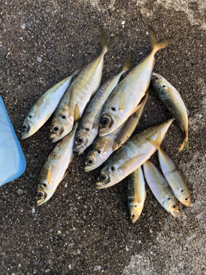 ベスポジ入れず