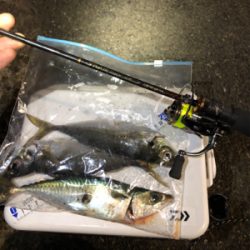 Newタックル釣行!