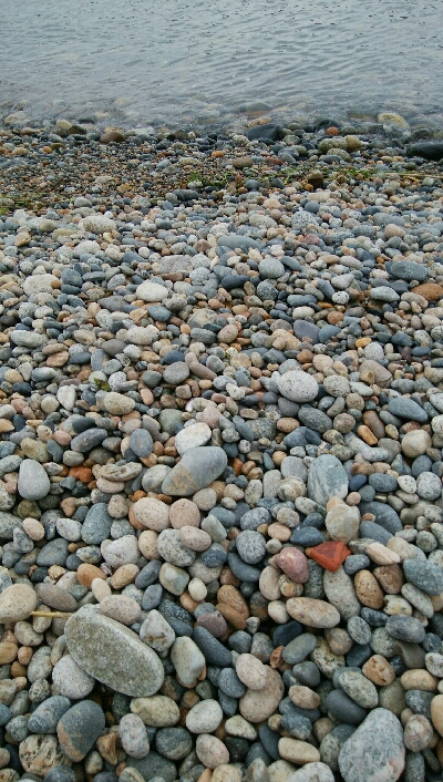 ヒラメ2枚。そして、竿折れる・・・