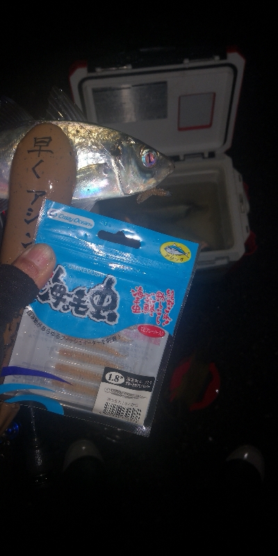 アジング練習　288　ゴーセン　ホンテロンエステルリーダー