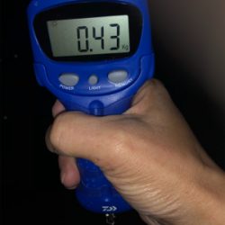 連夜のエギング