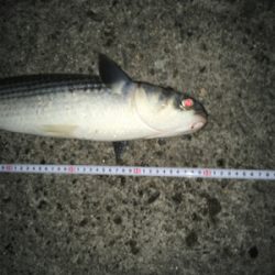 タイミングが合わない(*´Д｀*)