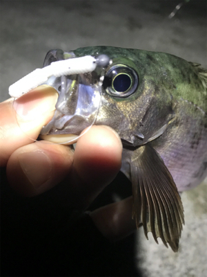 フロートメバリング