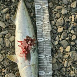 ワンチャンモノにした一発！