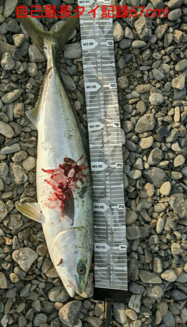 ワンチャンモノにした一発！