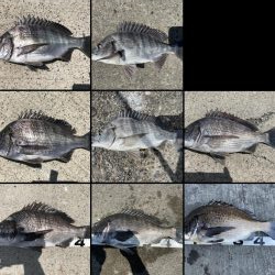 イチノ兄弟、釣果！