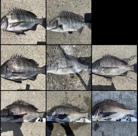 イチノ兄弟、釣果！