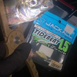 アジング練習　281 ABU スローテーパーロッド