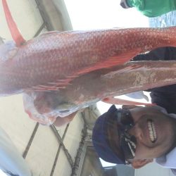 喰い喰い　高級魚釣り^_^