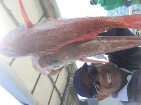 喰い喰い　高級魚釣り^_^