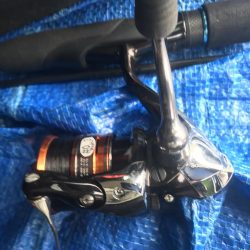 朝マズメのアジング好調