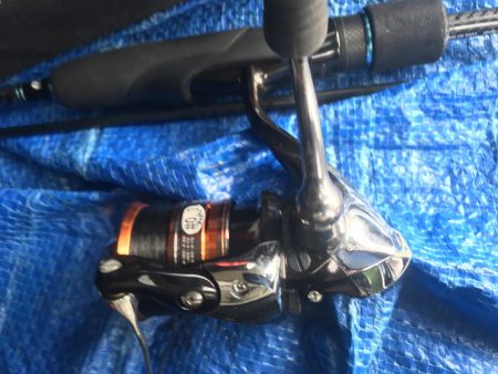 朝マズメのアジング好調