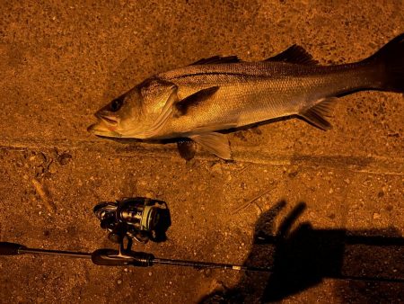 渋いながらも……