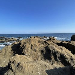 午後から激荒れ　グレ小さいの20匹　