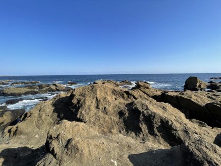 午後から激荒れ　グレ小さいの20匹　