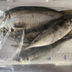 緊急事態宣言前にアジングへ