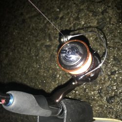 短時間でアジ6匹