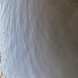 今年初ランカー(≧∀≦)