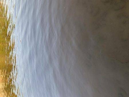 今年初ランカー(≧∀≦)