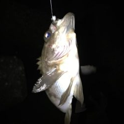 初めて2回目のフロート釣り