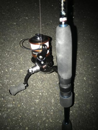 夕マズメのアジングアタリ多し‼︎