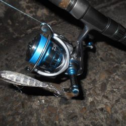 やっぱりRB88が効く？。