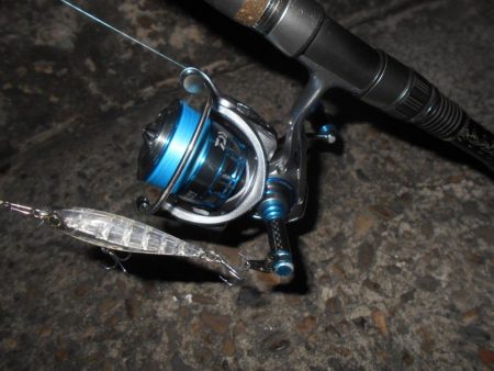 やっぱりRB88が効く？。