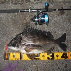 爆風の中で…。