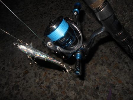 入れ食いは一瞬…