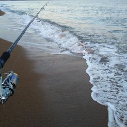 サーフで短時間勝負