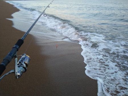 サーフで短時間勝負