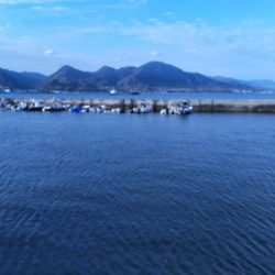 これは、、、始まってますなぁ