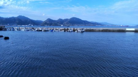 これは、、、始まってますなぁ