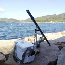 室津のキス釣り