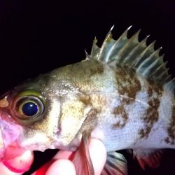 フロートアジング　