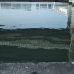 ぶらシーバス！！