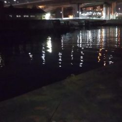 ぶらシーバス！！