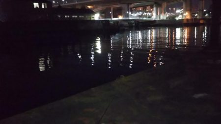 ぶらシーバス！！