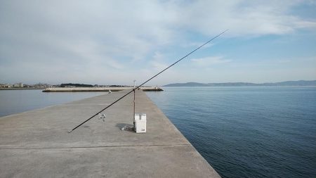 活性が上がらない播磨新島周辺のキス