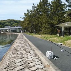 宮津のキス調査