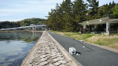 宮津のキス調査